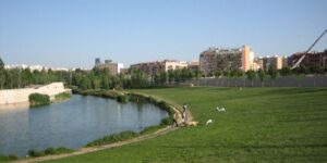 parque de cabecera, valencia