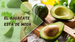 El Aguacate Esta De Moda 1 Scaled
