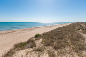 Playa De El Saler Picnic