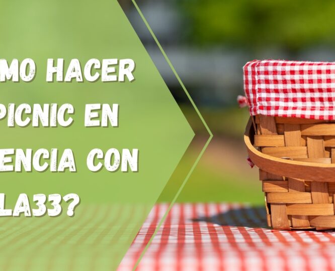 Como Hacer Un Picnic En Valencia Con Yecla33