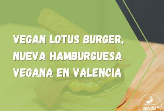 Vegan Lotus Burger, nuEVA HAMBURGUESA vegana en Valencia