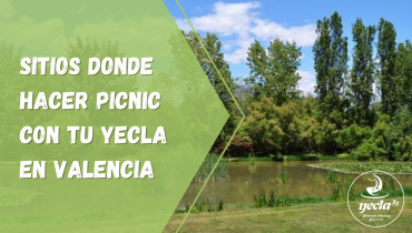 ¡Sitios donde hacer picnic con tu Yecla en Valencia!
