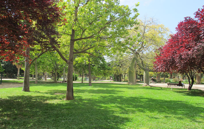 fotografía de los jardines del real