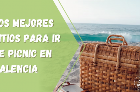 Mejores sitios en Valencia para hacer un picnic en verano con Yecla33